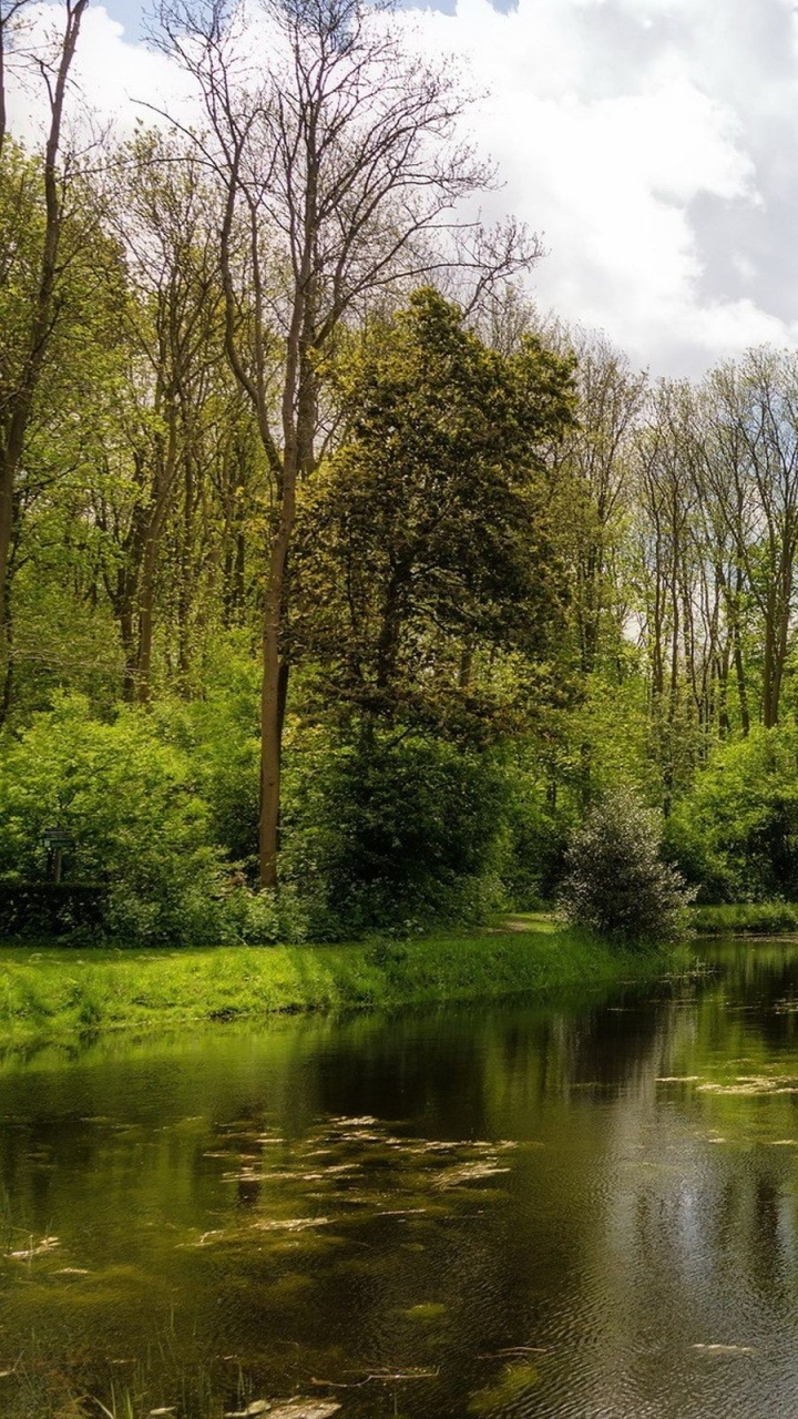Green Grass Field and Trees Beside River Under White Clouds and Blue Sky During Daytime. Wallpaper in 720x1280 Resolution