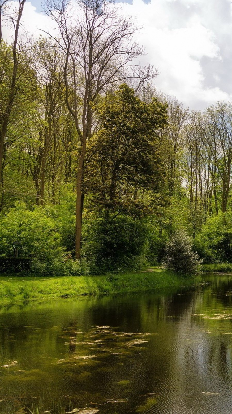 Green Grass Field and Trees Beside River Under White Clouds and Blue Sky During Daytime. Wallpaper in 750x1334 Resolution