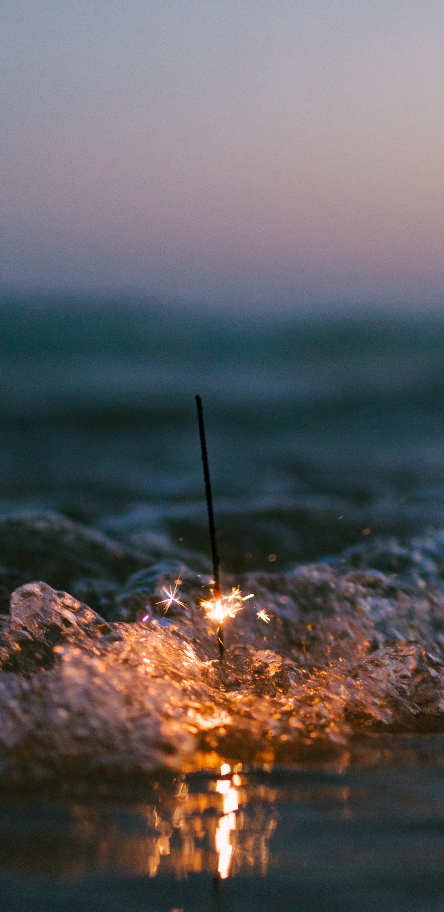 Meer, Wasser, Atmosphäre, Cloud, Holz. Wallpaper in 1440x2960 Resolution