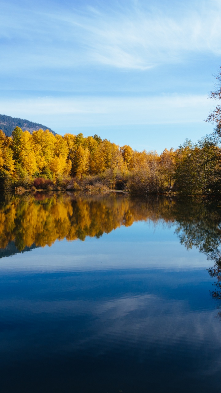 Reflection, Reka Chumysh, Nature, River, Altai Republic. Wallpaper in 720x1280 Resolution