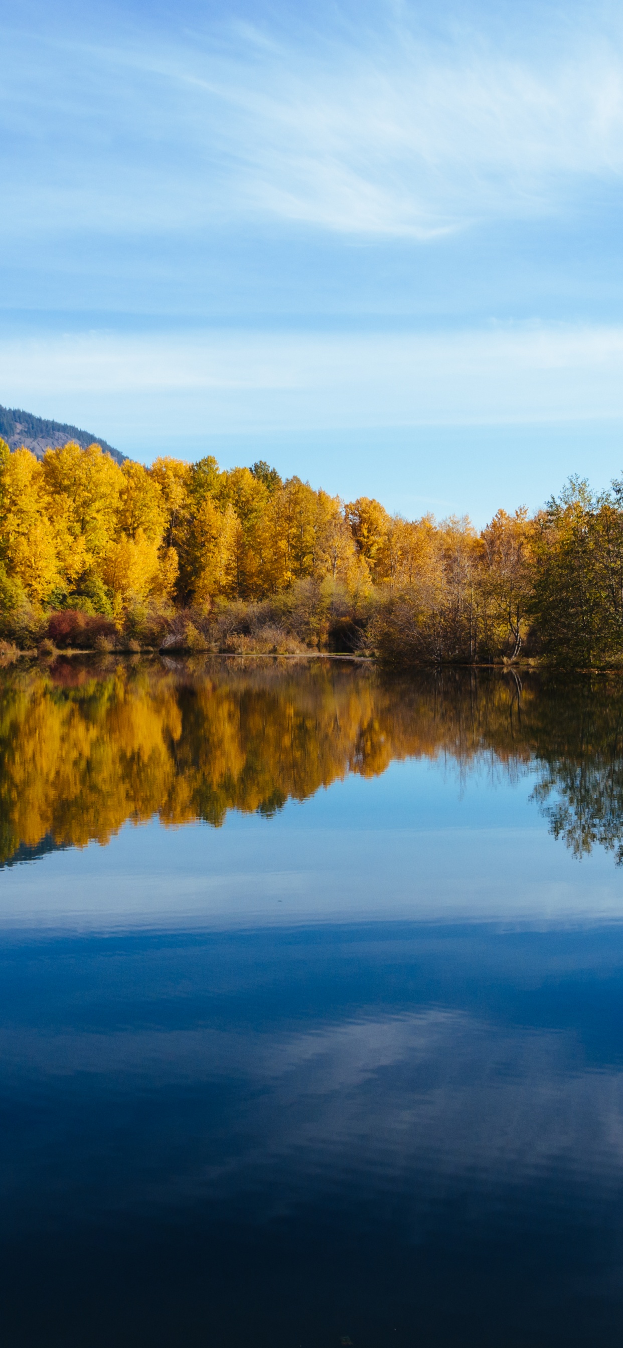 Reflexion, Reka Chumysh, Natur, Fluss, Altai Republik. Wallpaper in 1242x2688 Resolution