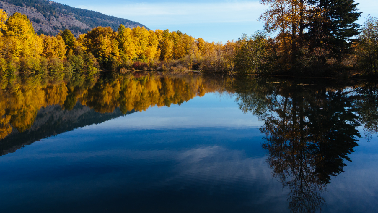 Reflexión, Reka Chumysh, Naturaleza, Río, Altai Republic. Wallpaper in 1280x720 Resolution