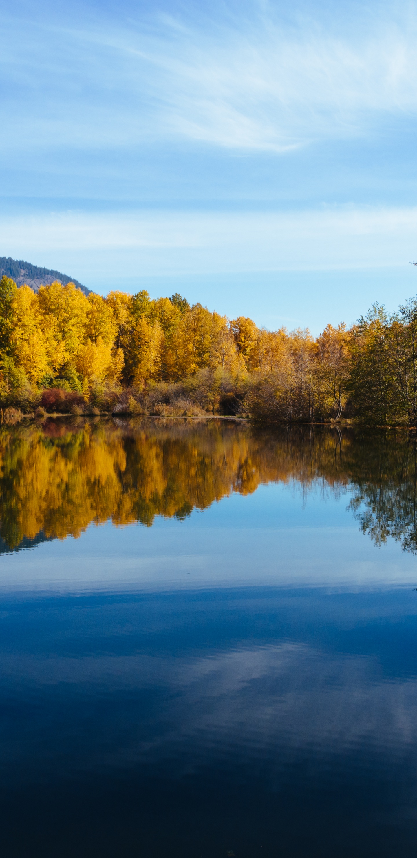 Reflexión, Reka Chumysh, Naturaleza, Río, Altai Republic. Wallpaper in 1440x2960 Resolution