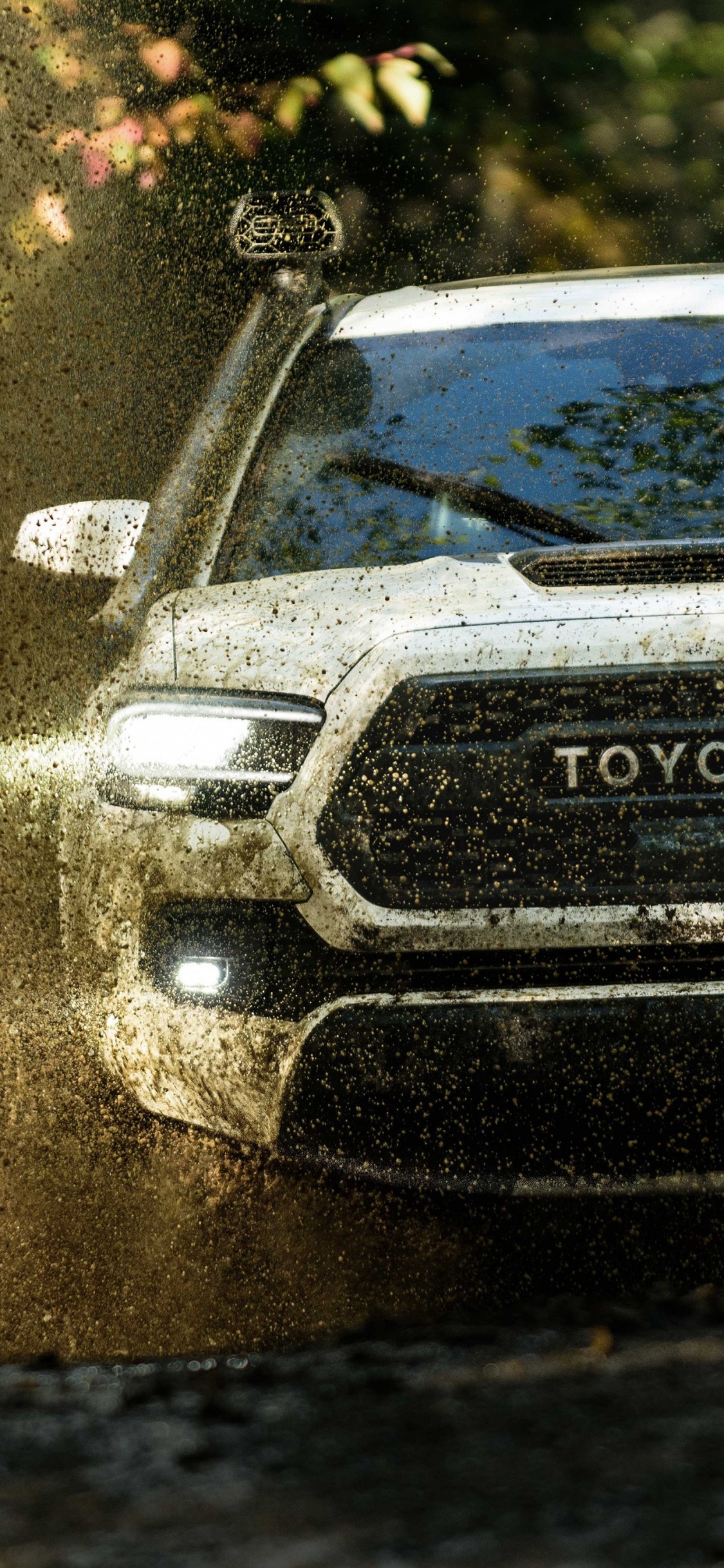 Toyota Tacoma 2020, Toyota Tacoma 2021, Toyota Supra, Camioneta, Toyota. Wallpaper in 1125x2436 Resolution