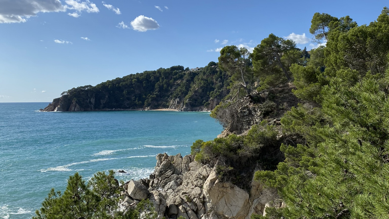 Coast, Vegetation, Cloud, Natural Landscape, Ocean. Wallpaper in 1280x720 Resolution