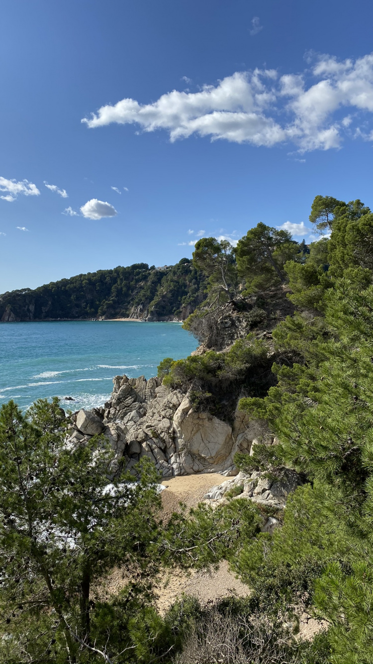 Côte, Végétation, Paysage Naturel, Azure, la Réserve Naturelle De. Wallpaper in 750x1334 Resolution