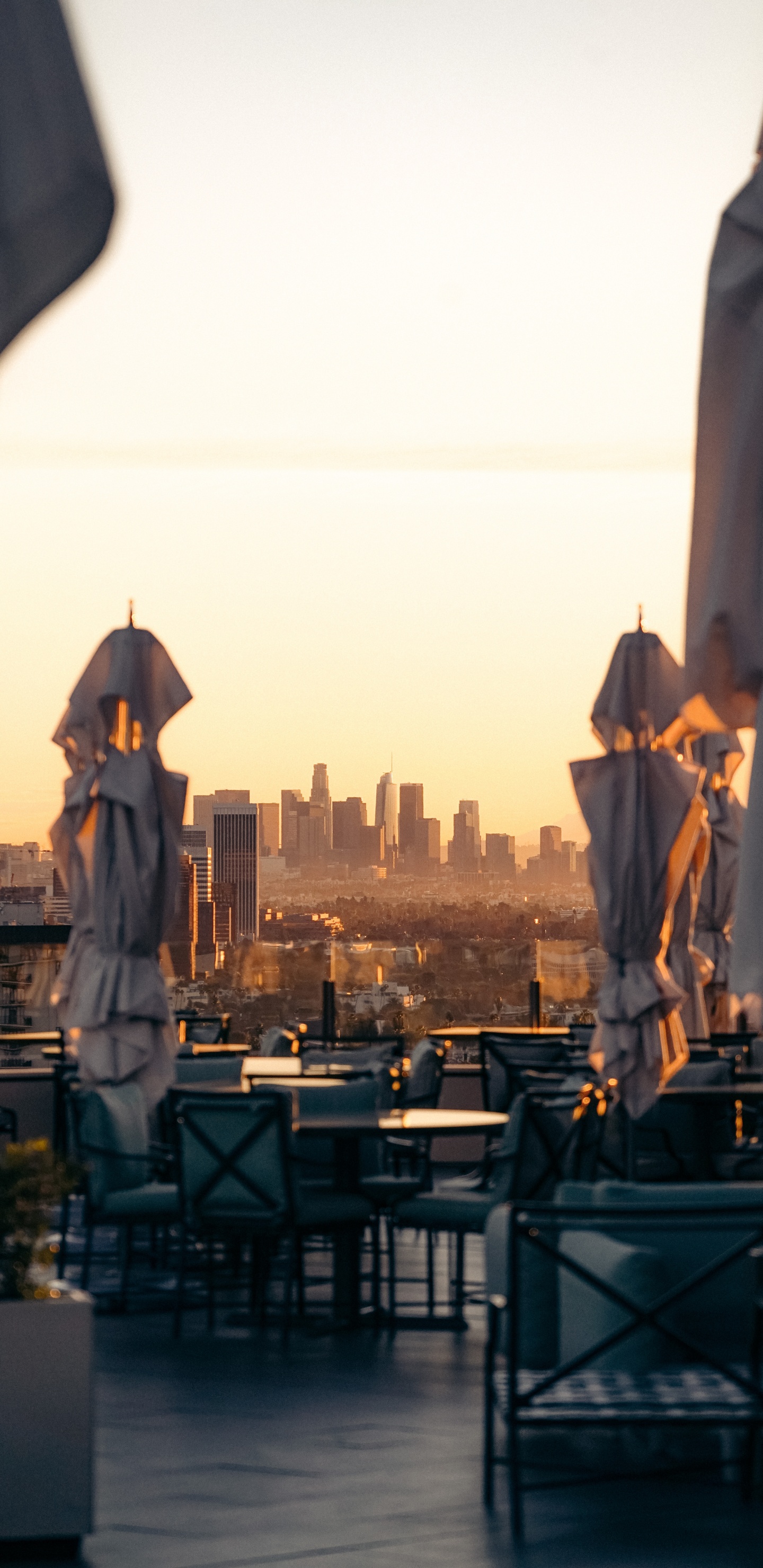 Statue D'homme en Robe Blanche. Wallpaper in 1440x2960 Resolution