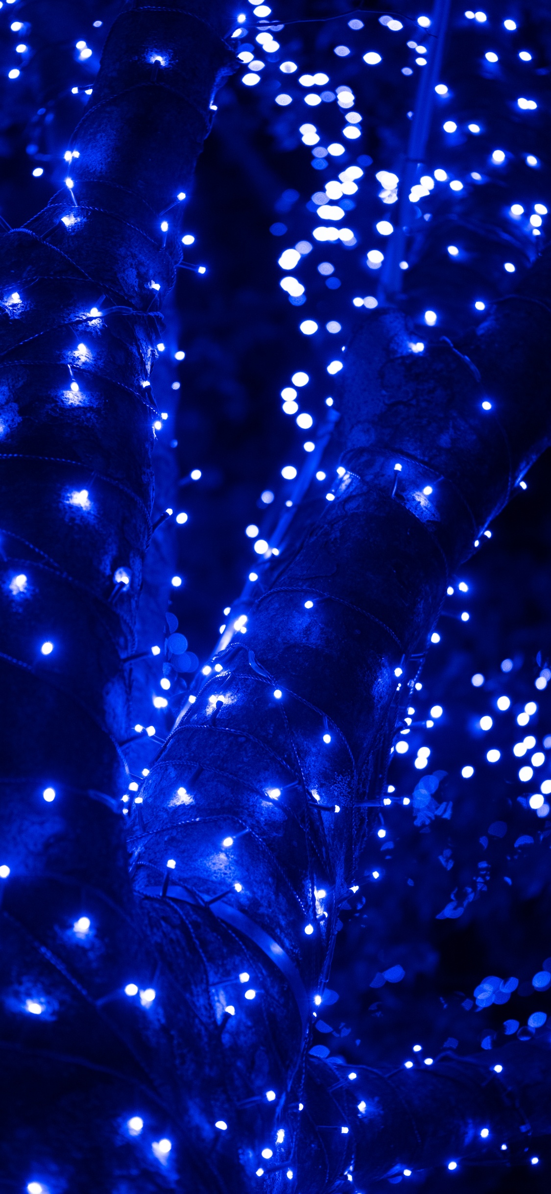 Blue, Eau, Lumière, Bleu de Cobalt, Éclairage. Wallpaper in 1125x2436 Resolution