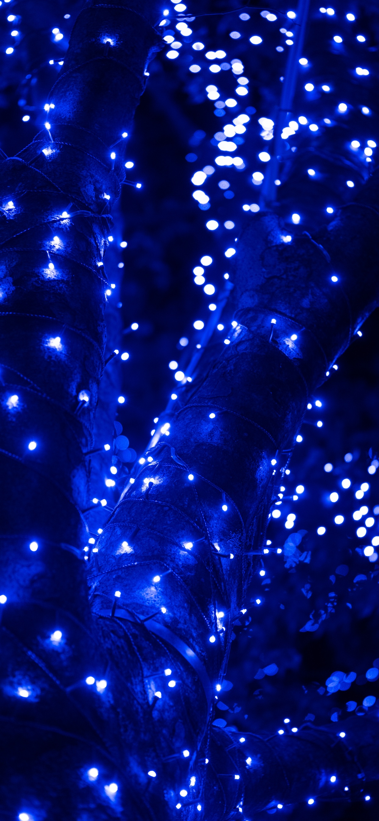 Blau, Wasser, Licht, Electric Blue, Kobaltblau. Wallpaper in 1242x2688 Resolution