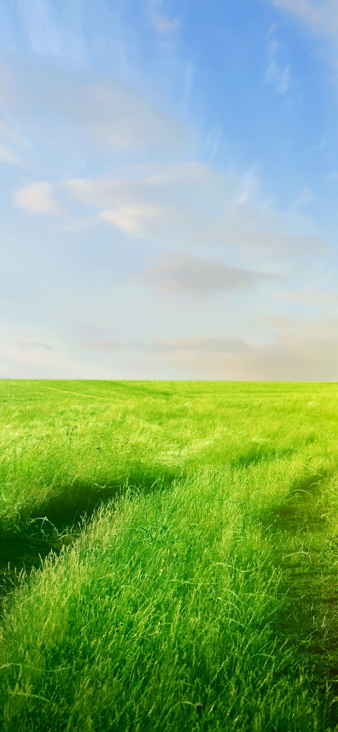 Green Grass Field Under Blue Sky During Daytime. Wallpaper in 1125x2436 Resolution