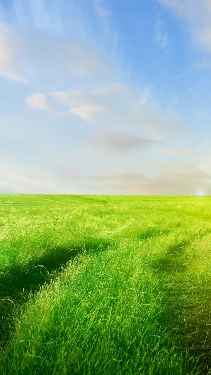 Green Grass Field Under Blue Sky During Daytime. Wallpaper in 720x1280 Resolution