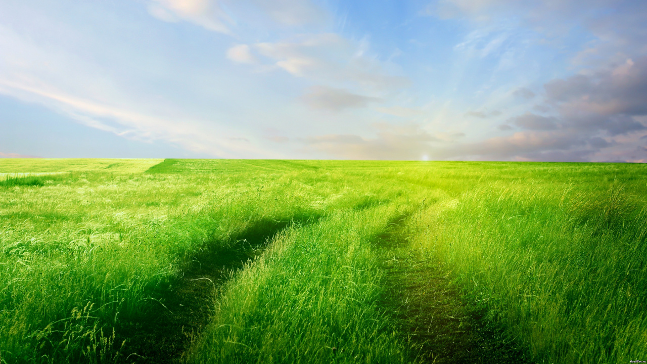 Tagsüber Grüne Wiese Unter Blauem Himmel. Wallpaper in 1280x720 Resolution