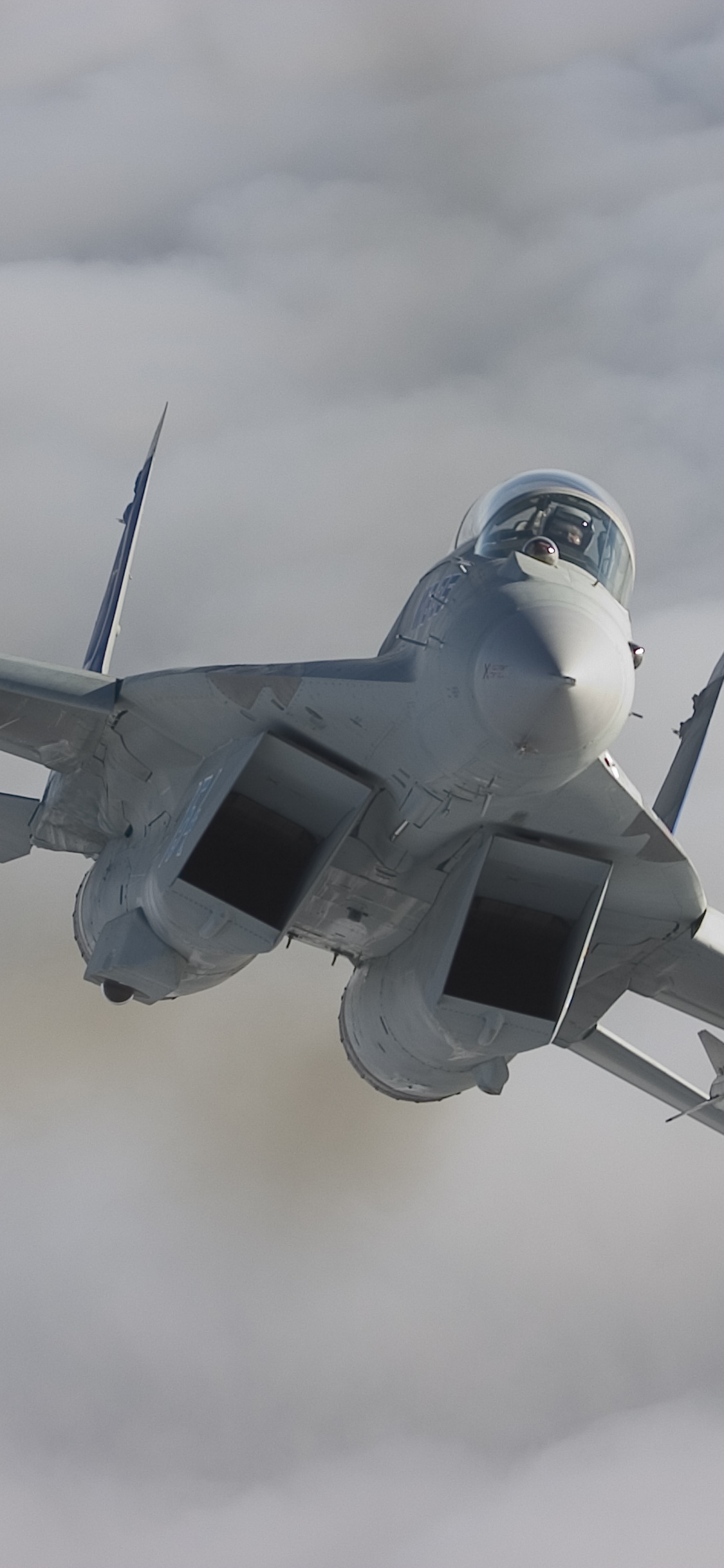 Avión de Combate Gris Volando en el Cielo. Wallpaper in 1125x2436 Resolution