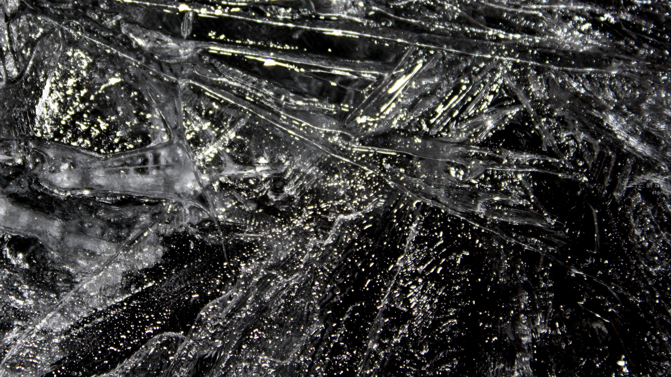 Peinture Abstraite Verte et Noire. Wallpaper in 2560x1440 Resolution