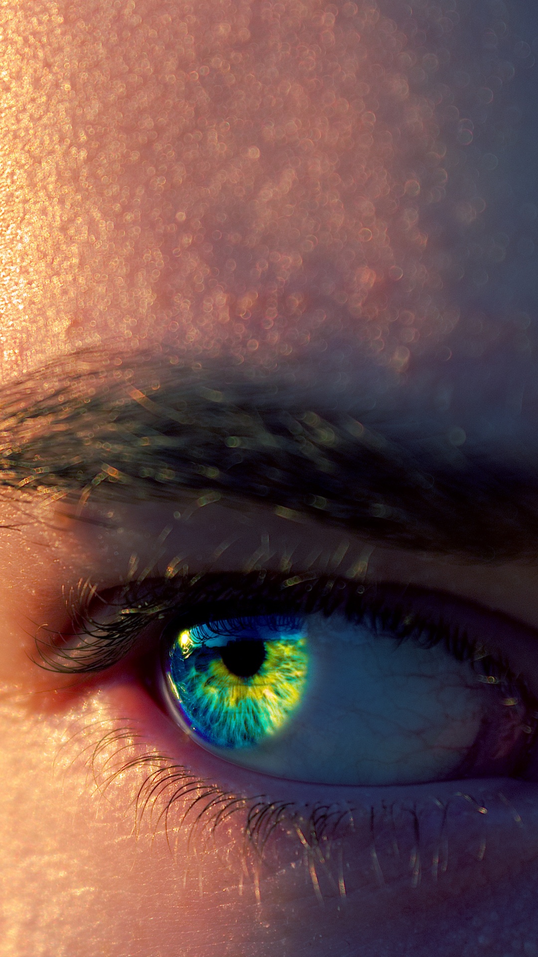 Oeil de Personnes Dans la Photographie en Gros Plan. Wallpaper in 1080x1920 Resolution