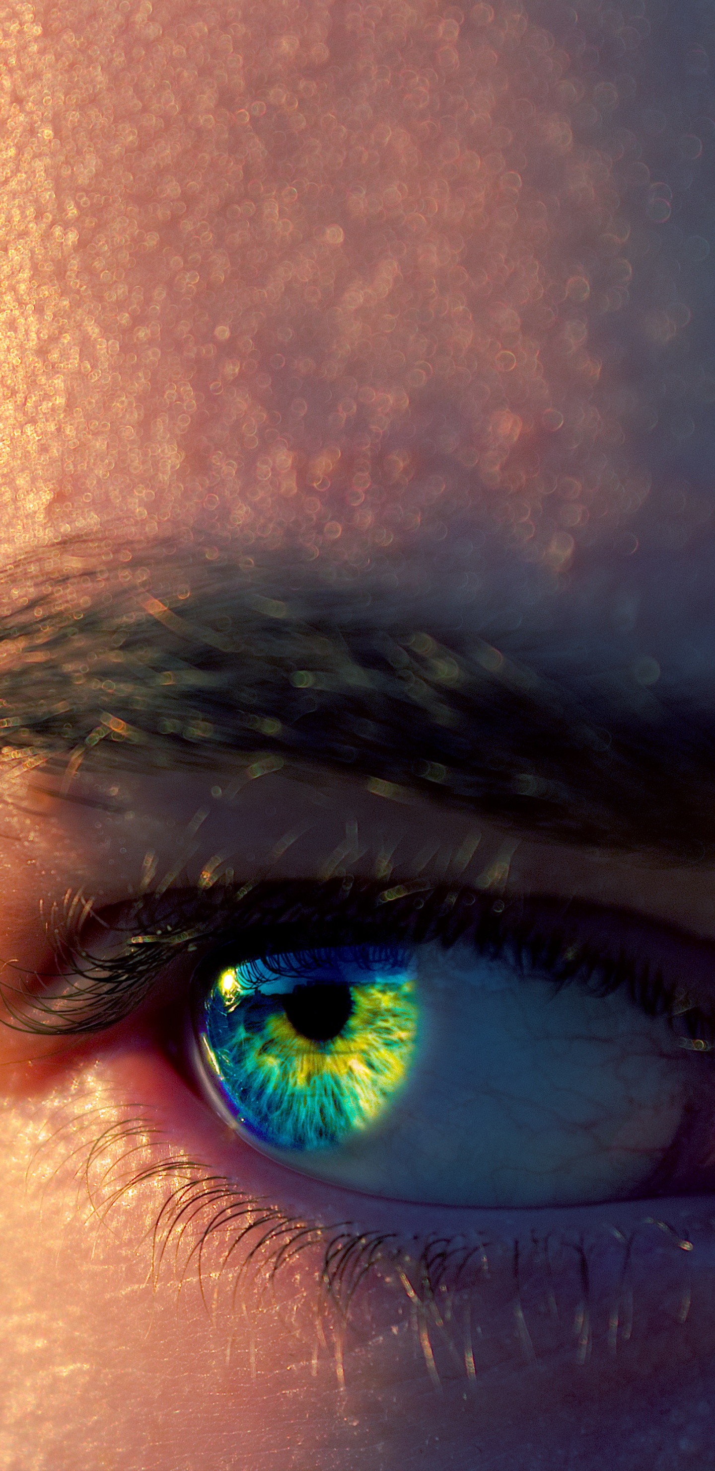 Oeil de Personnes Dans la Photographie en Gros Plan. Wallpaper in 1440x2960 Resolution