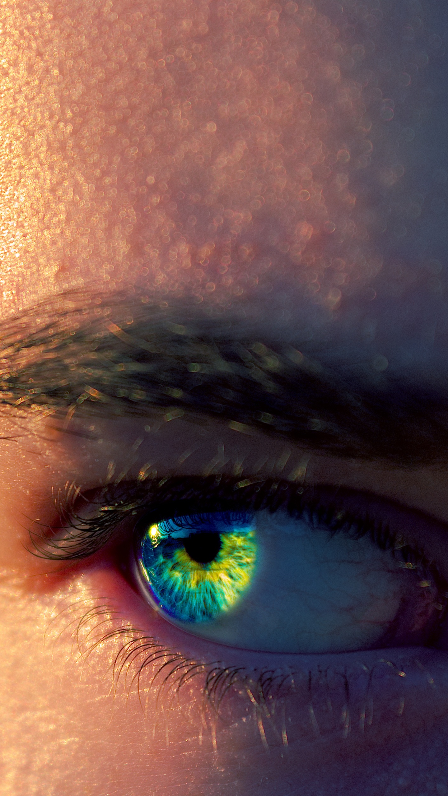 Personenauge in Nahaufnahme. Wallpaper in 1440x2560 Resolution