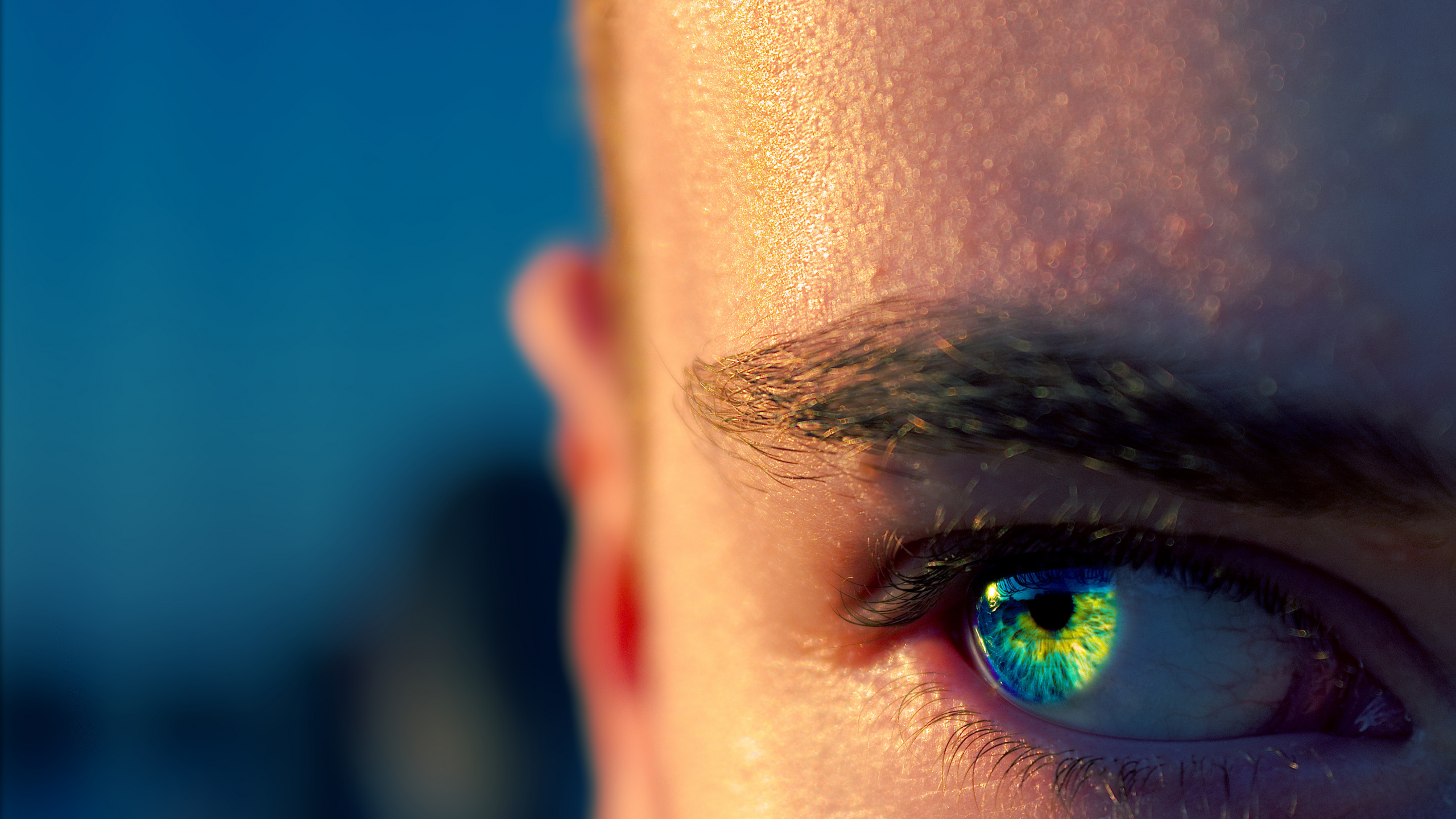 Ojo de Personas en Fotografía de Cerca. Wallpaper in 2560x1440 Resolution