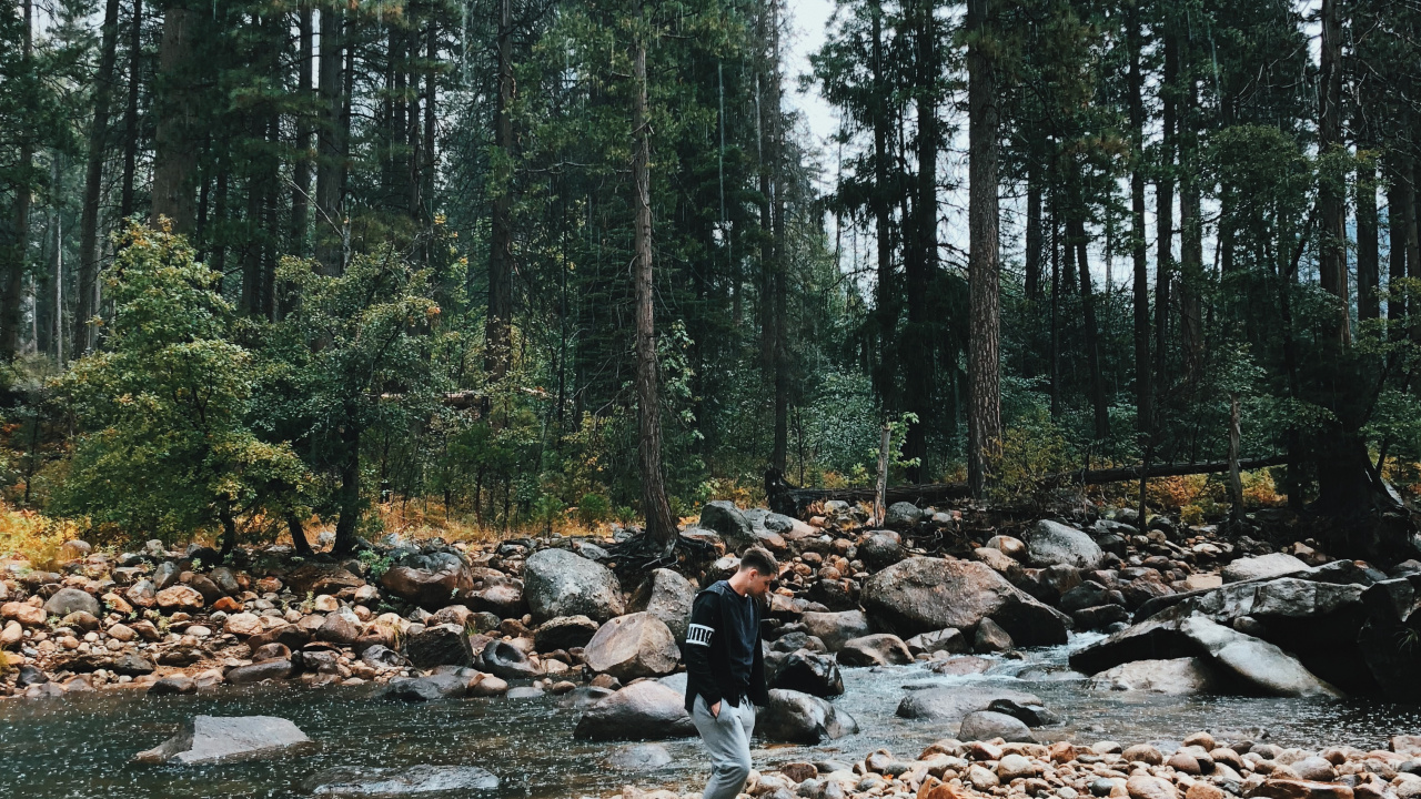 Wilderness, Water, Stream Bed, Biome, Old Growth Forest. Wallpaper in 1280x720 Resolution