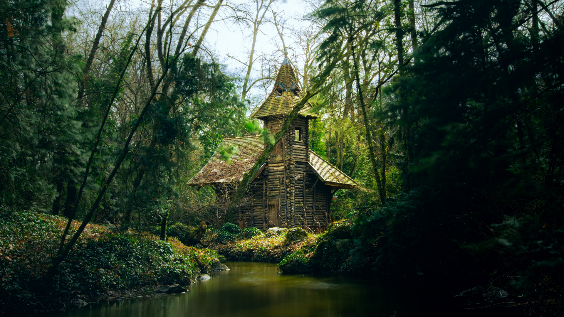 Naturaleza, Entorno Natural, Paisaje Natural, Verde, la Vegetación. Wallpaper in 1920x1080 Resolution