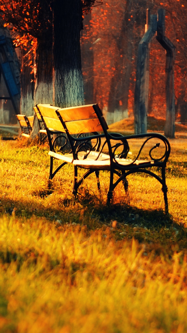 Brown Wooden Bench on Green Grass Field Near Brown Trees During Daytime. Wallpaper in 720x1280 Resolution