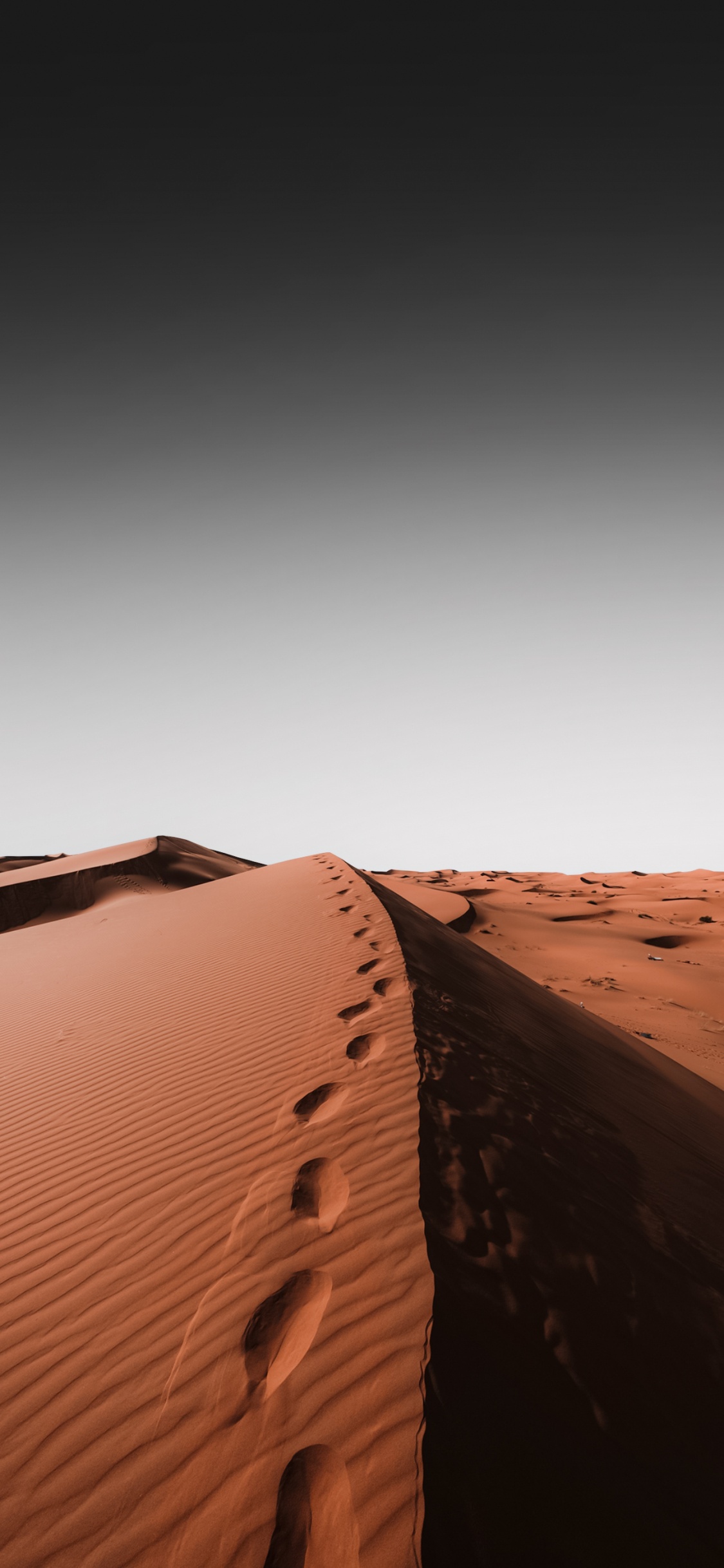 艺术, 棕色, 木, 地平线, 斜坡 壁纸 1125x2436 允许