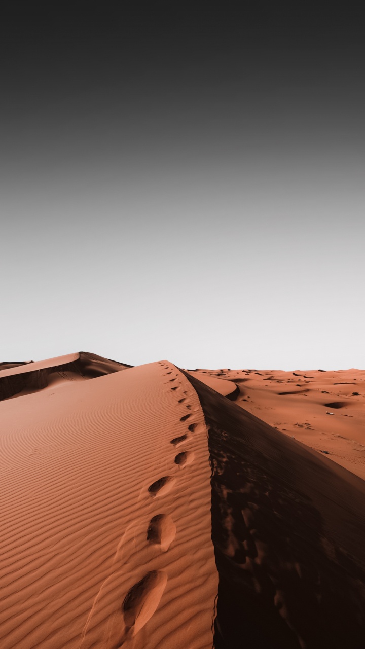 艺术, 棕色, 木, 地平线, 斜坡 壁纸 720x1280 允许