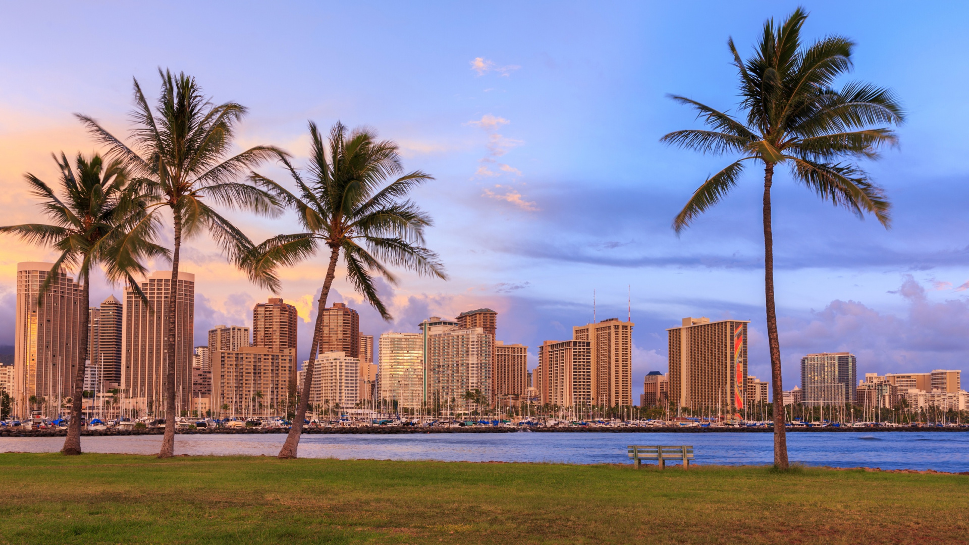 Green Palm Trees Near City Buildings During Daytime. Wallpaper in 1920x1080 Resolution