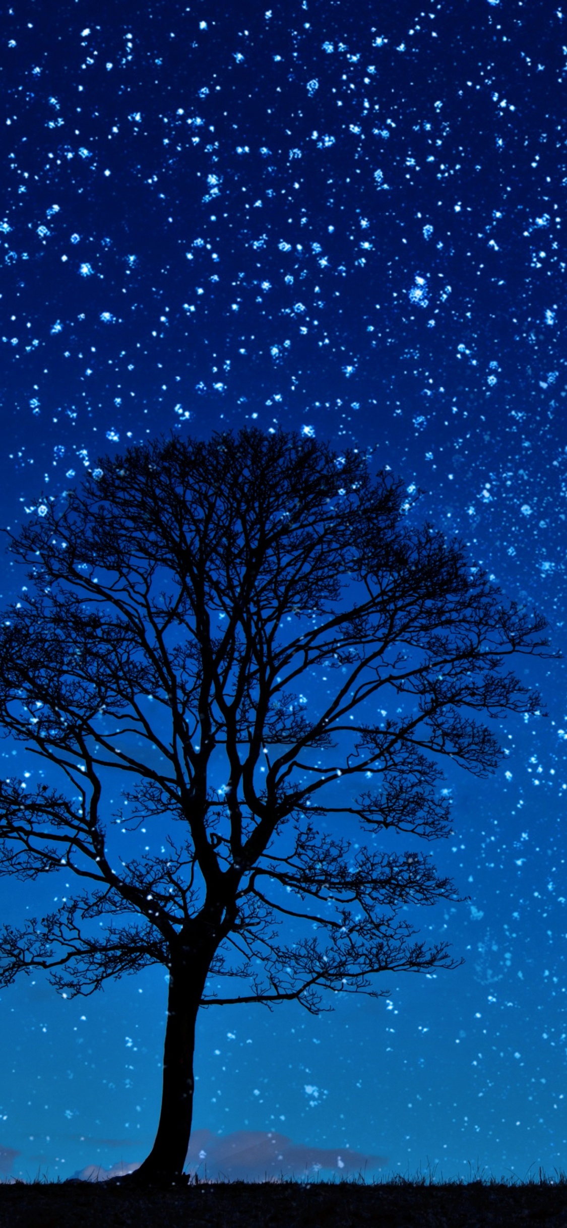 Silueta de Hombre de Pie Cerca de un Árbol Desnudo Bajo un Cielo Azul Durante la Noche. Wallpaper in 1125x2436 Resolution