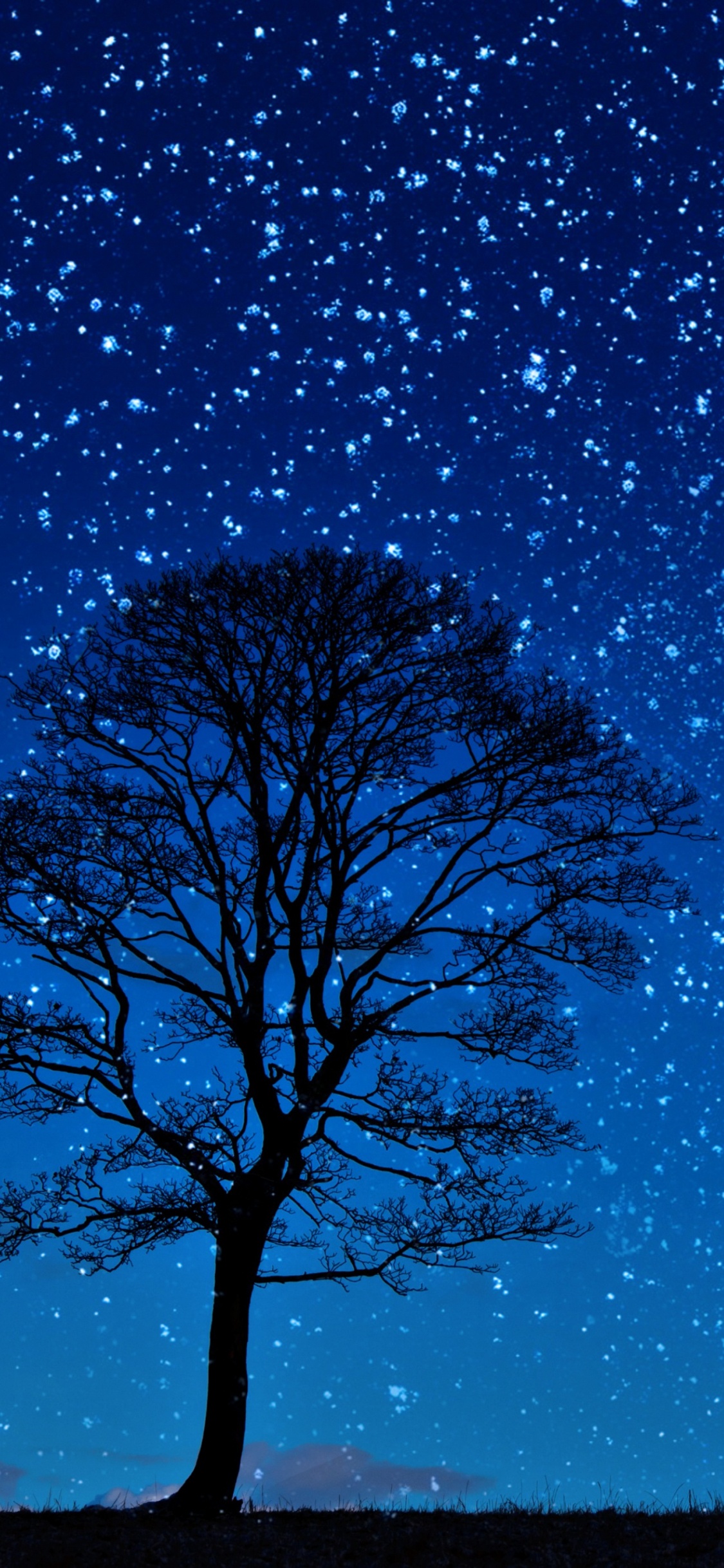 Silhouette Eines Mannes, Der Nachts in Der Nähe Eines Kahlen Baumes Unter Blauem Himmel Steht. Wallpaper in 1125x2436 Resolution