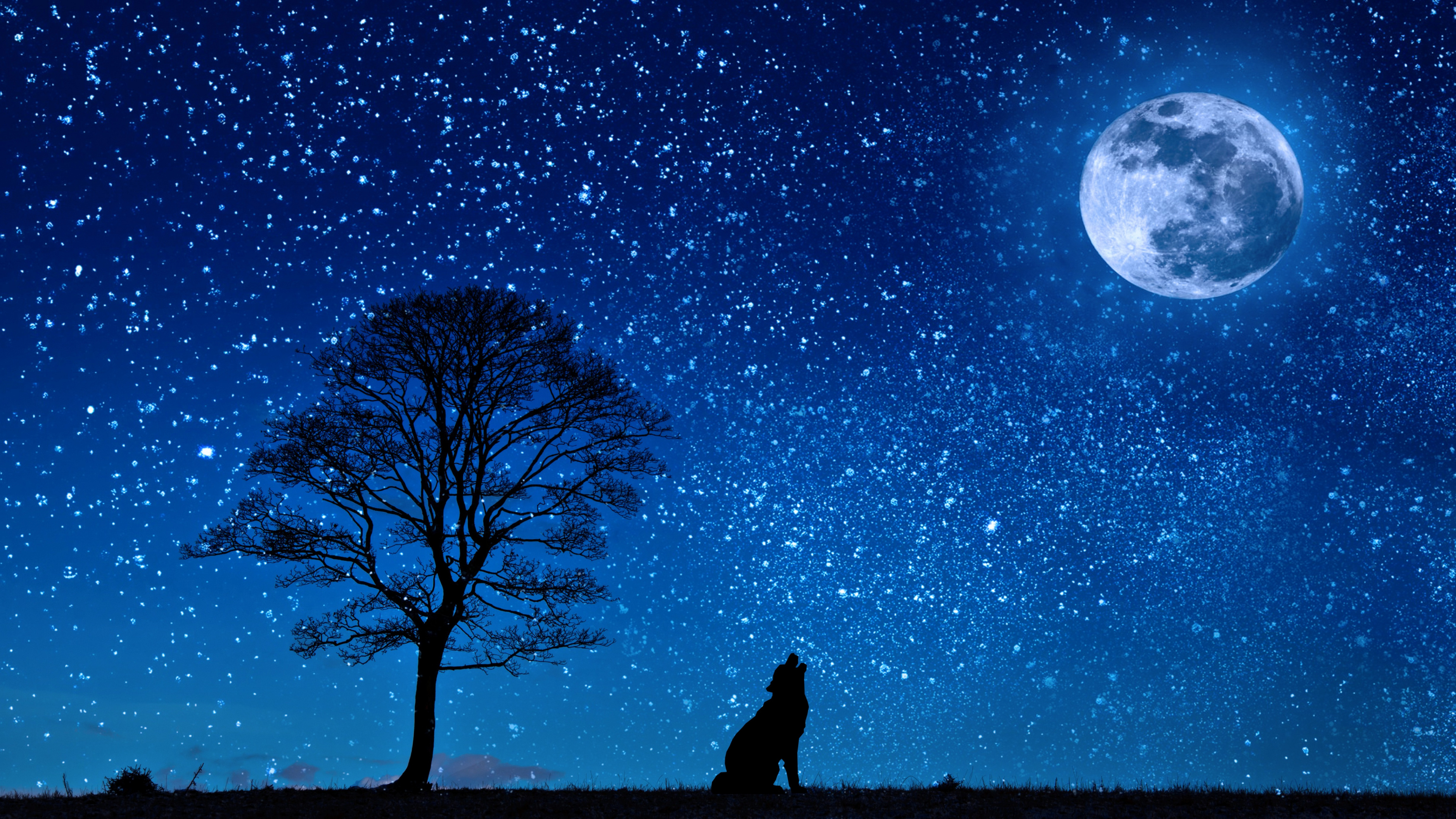 Silhouette of Man Standing Near Bare Tree Under Blue Sky During Night Time. Wallpaper in 3840x2160 Resolution