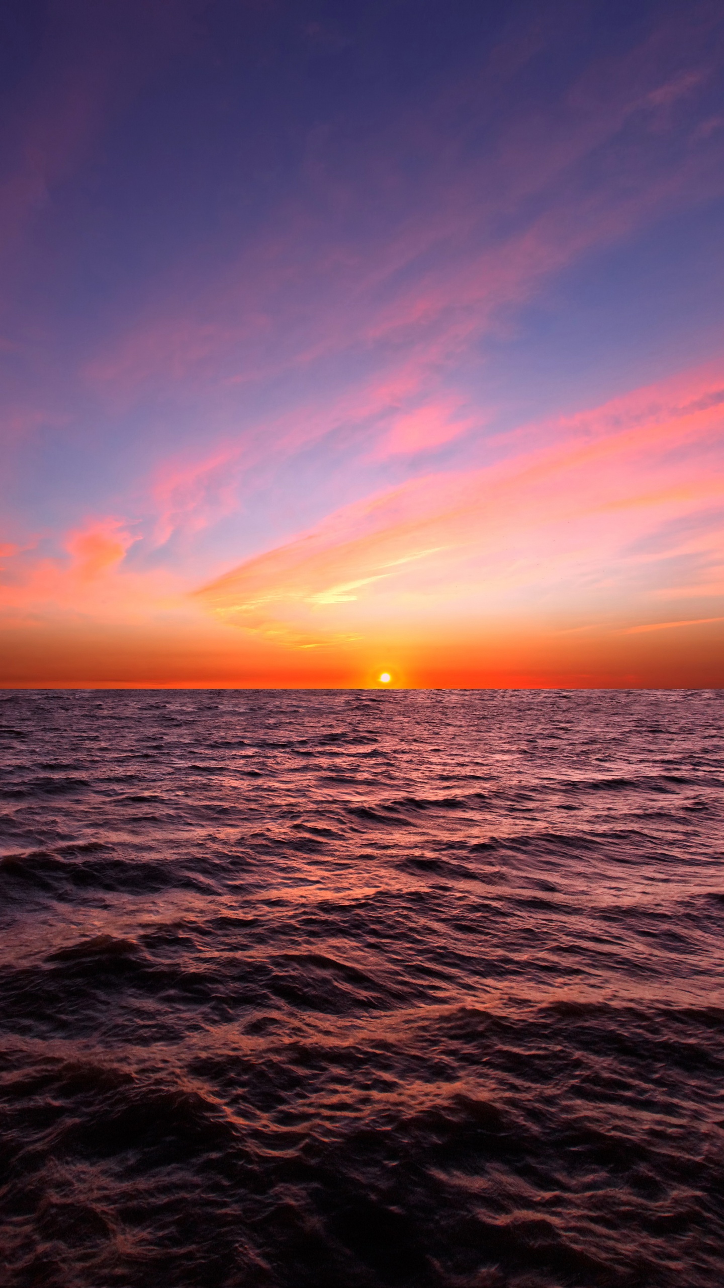 日落, 地平线, 大海, 海洋, 日出 壁纸 1440x2560 允许