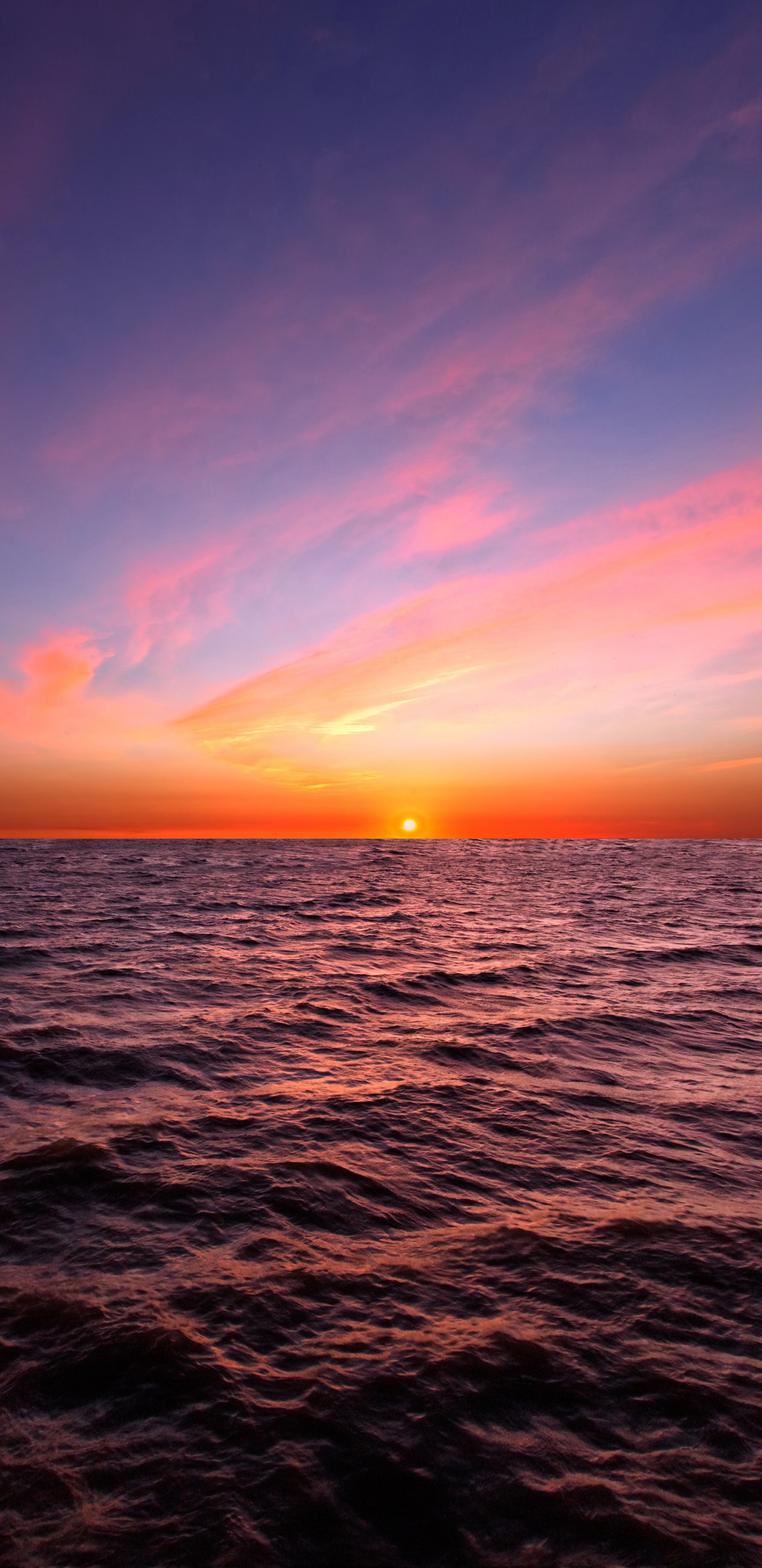 日落, 地平线, 大海, 海洋, 日出 壁纸 1440x2960 允许