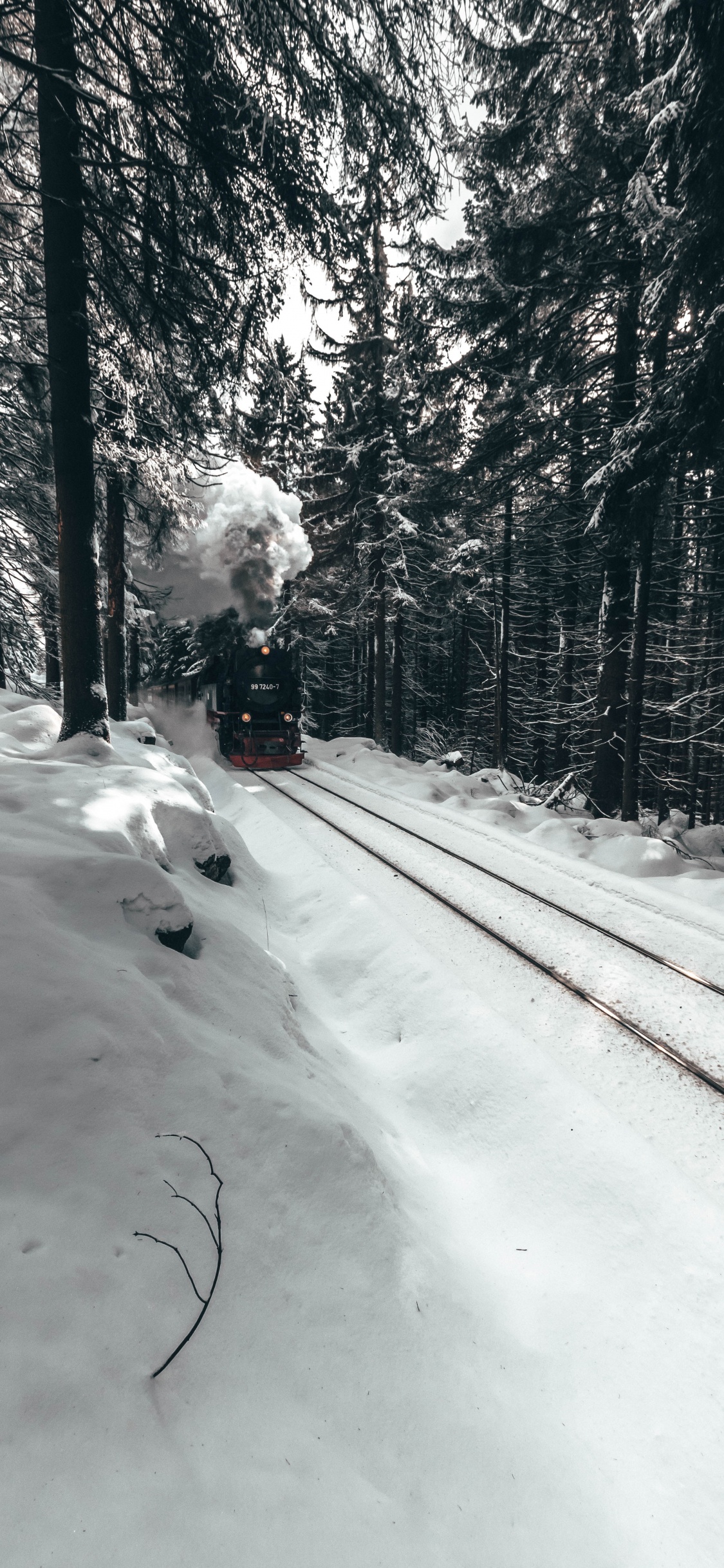Route Couverte de Neige Avec Des Arbres Pendant la Journée. Wallpaper in 1125x2436 Resolution