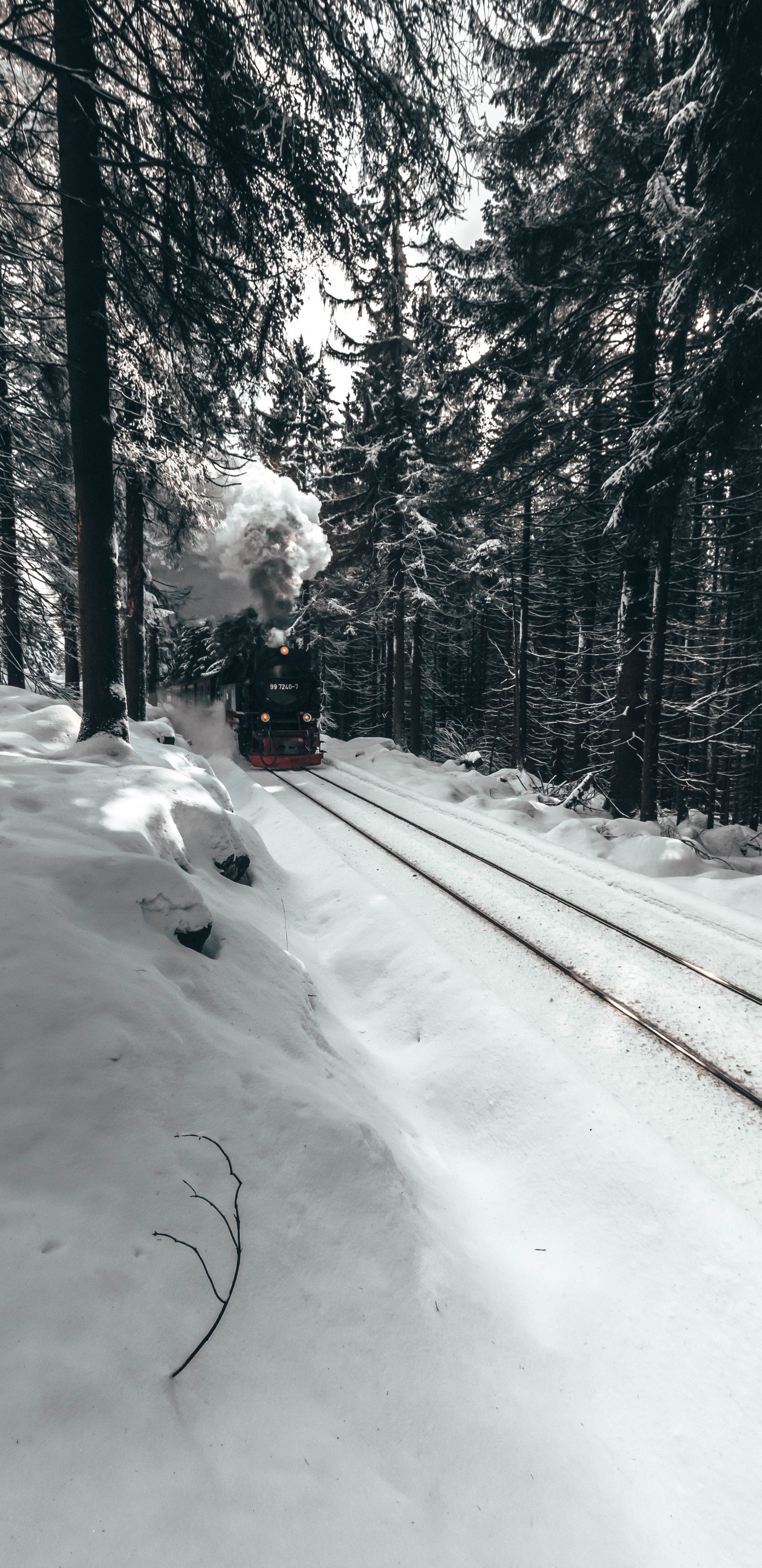 Route Couverte de Neige Avec Des Arbres Pendant la Journée. Wallpaper in 1440x2960 Resolution