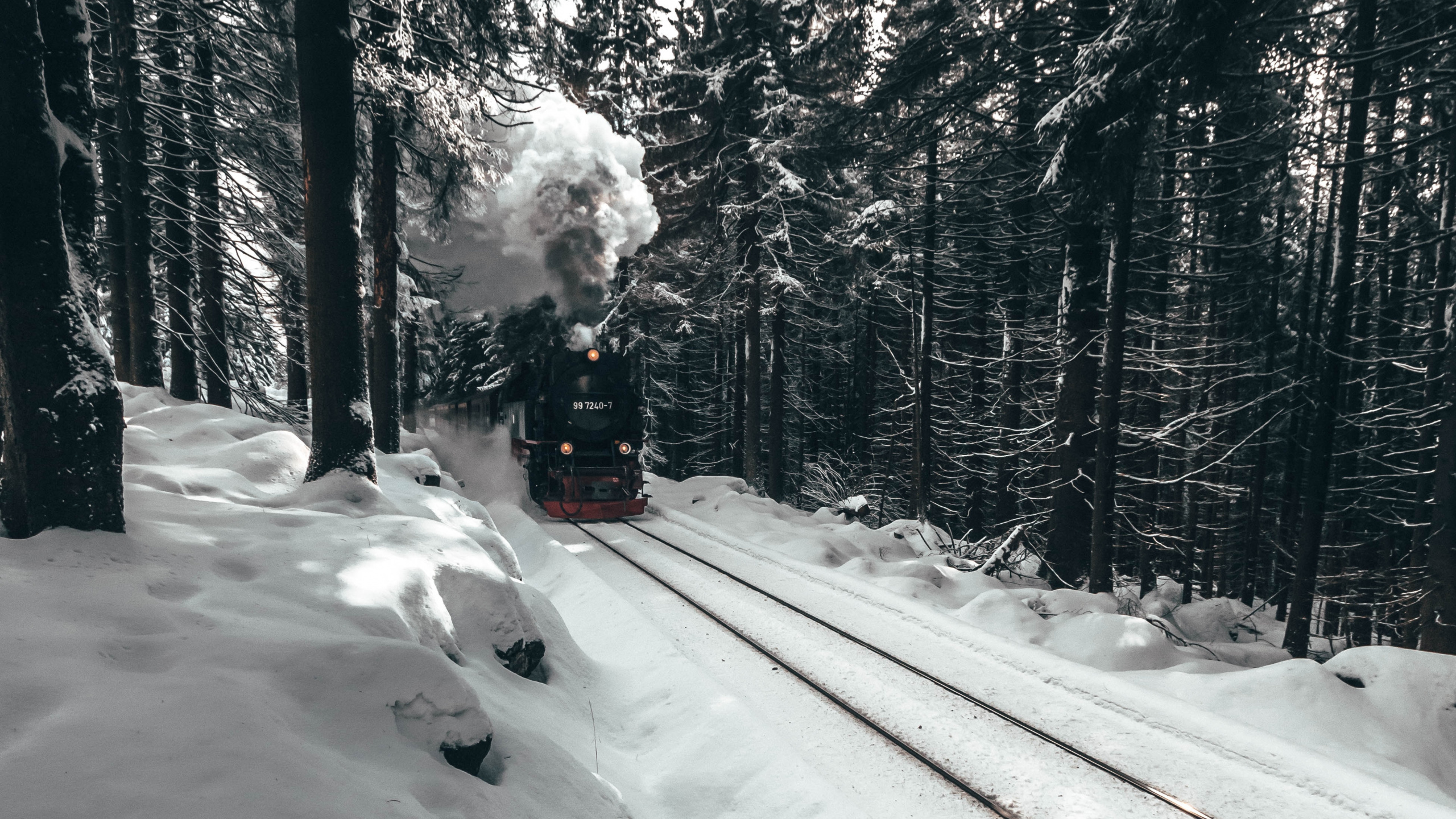 Snow Covered Road With Trees During Daytime. Wallpaper in 2560x1440 Resolution