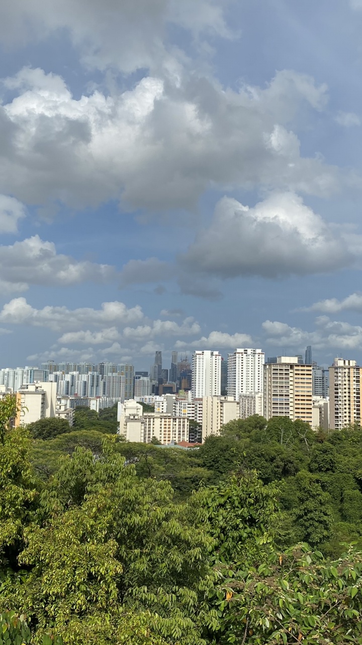 Vegetation, Daytime, Property, Cloud, Neighbourhood. Wallpaper in 720x1280 Resolution