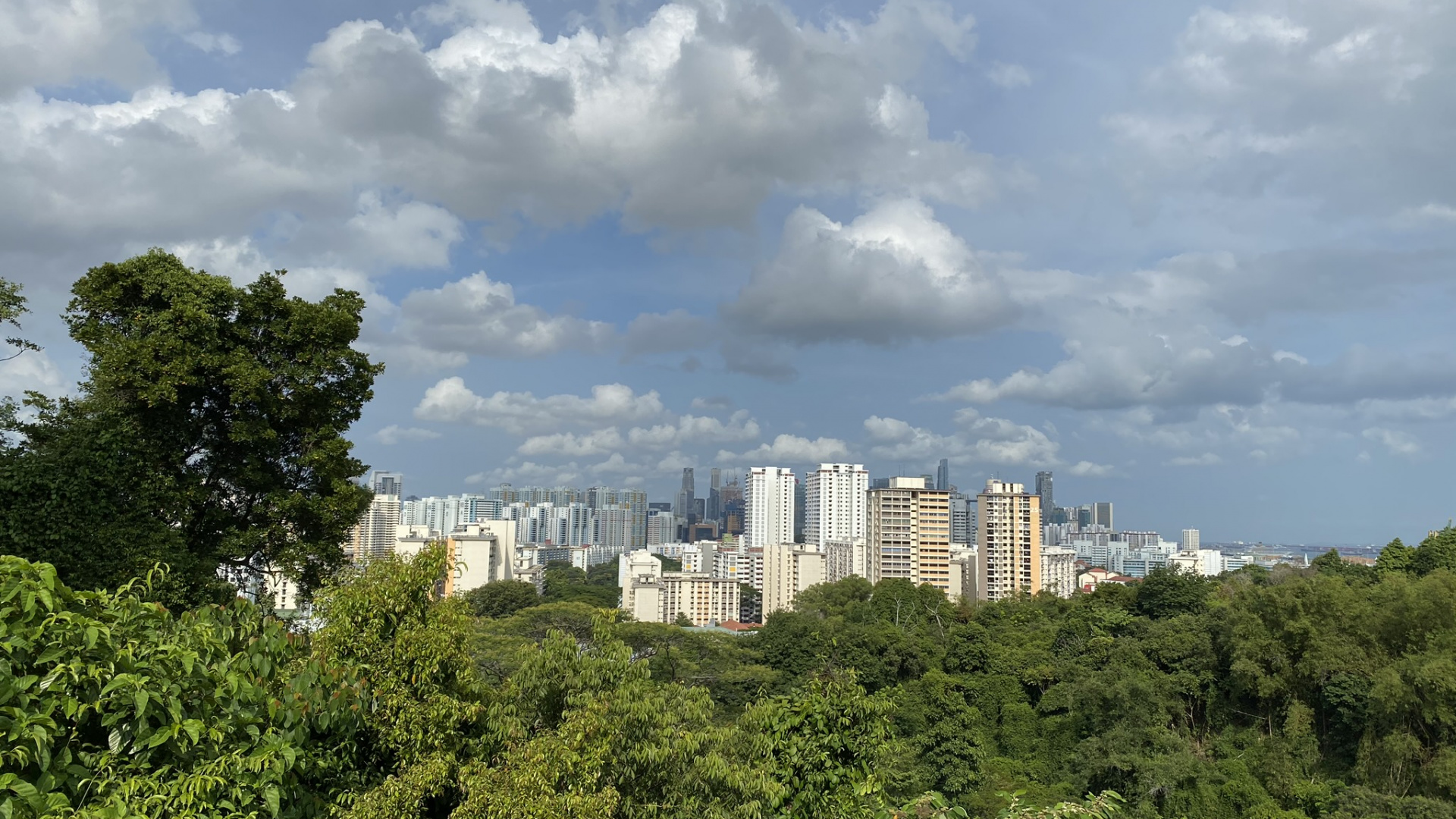 Vegetation, Tageszeit, Eigenschaft, Cloud, Nachbarschaft. Wallpaper in 1920x1080 Resolution