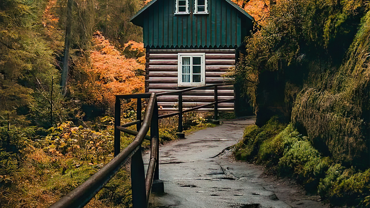 Baum, Tick Tack, Ios, Malerei, Papier. Wallpaper in 1280x720 Resolution