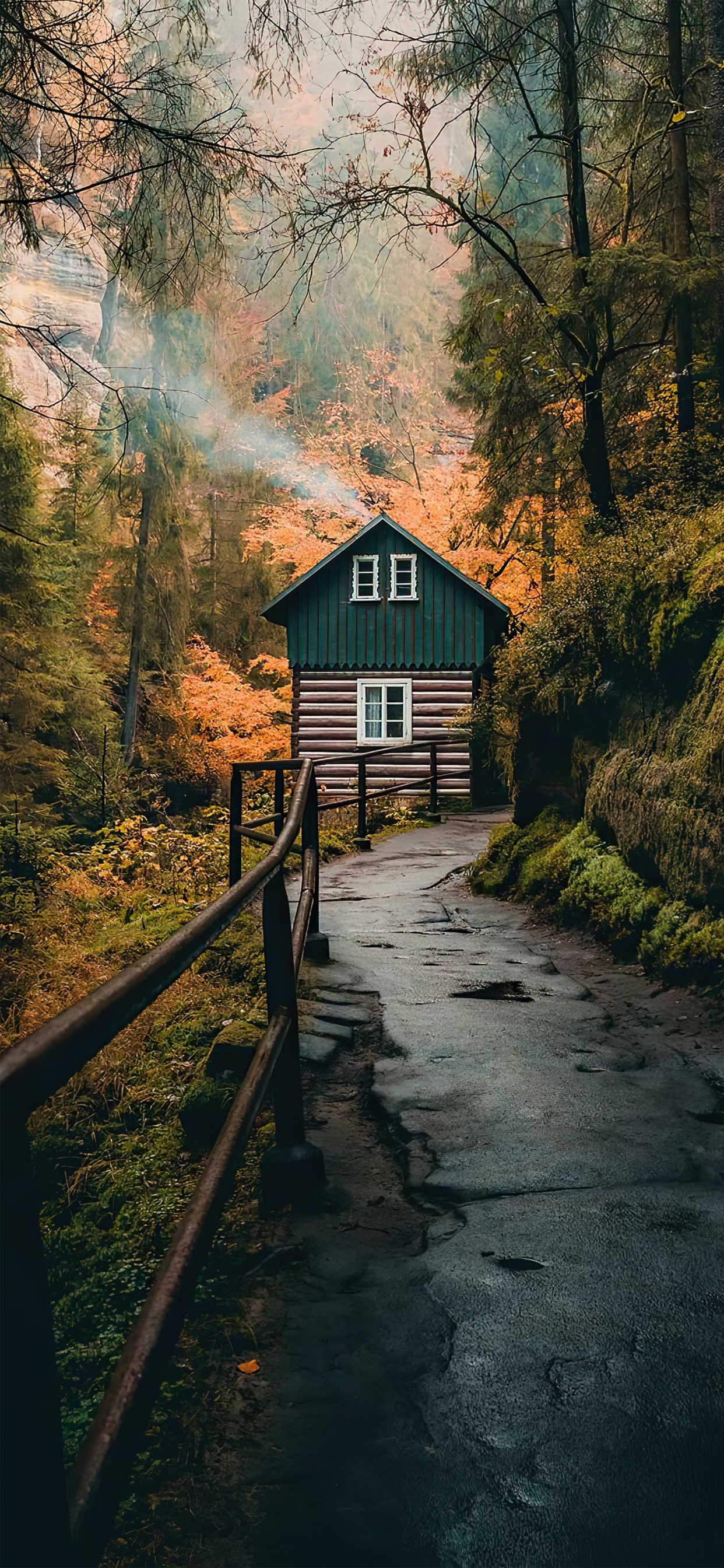 Tik Tok, Ios, Papel, Diseño, Naturaleza. Wallpaper in 1242x2688 Resolution