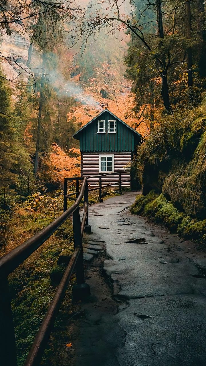 Tik Tok, Ios, Papel, Diseño, Naturaleza. Wallpaper in 720x1280 Resolution