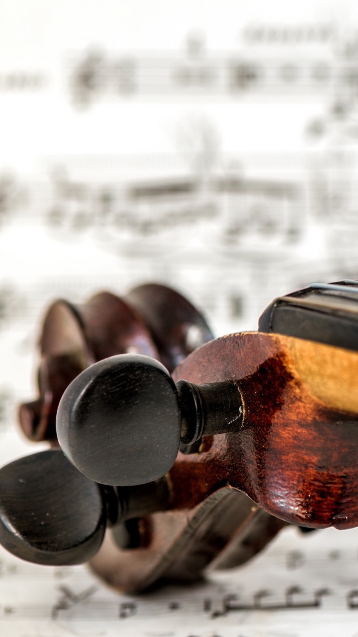 Instrument de Musique, Famille Des Violons.. Wallpaper in 720x1280 Resolution