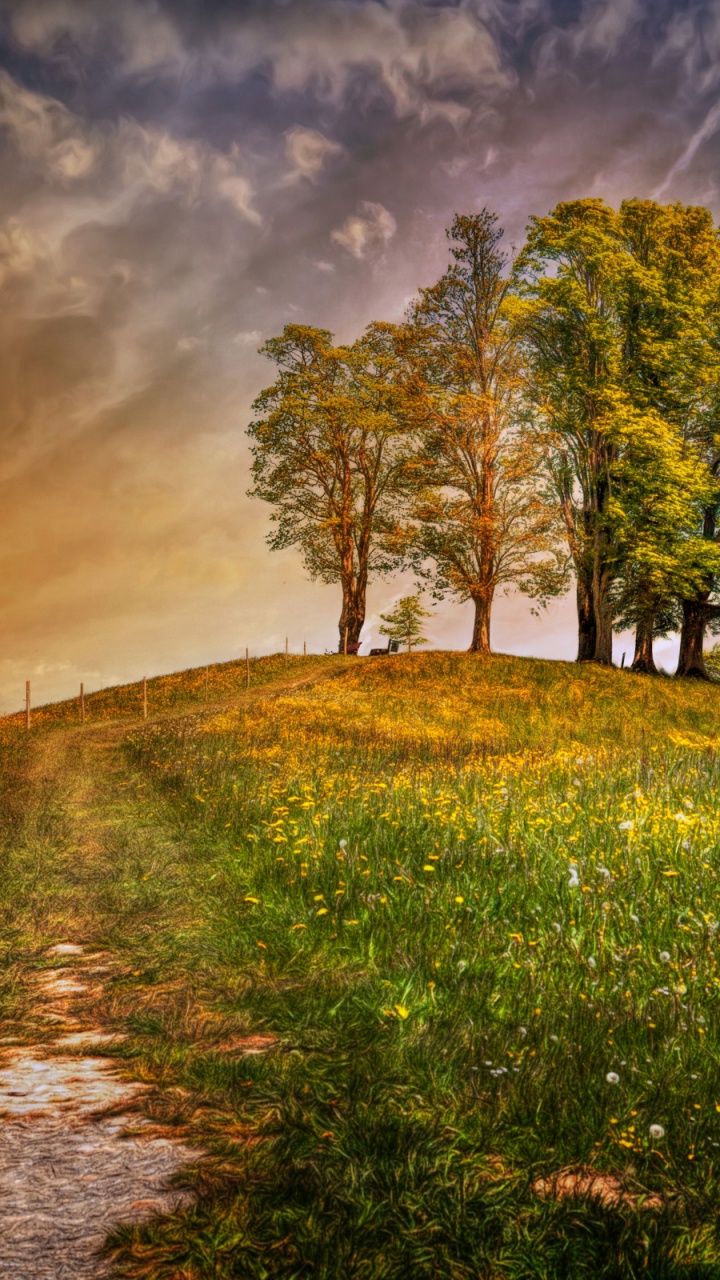Green Grass Field With Trees and River. Wallpaper in 720x1280 Resolution