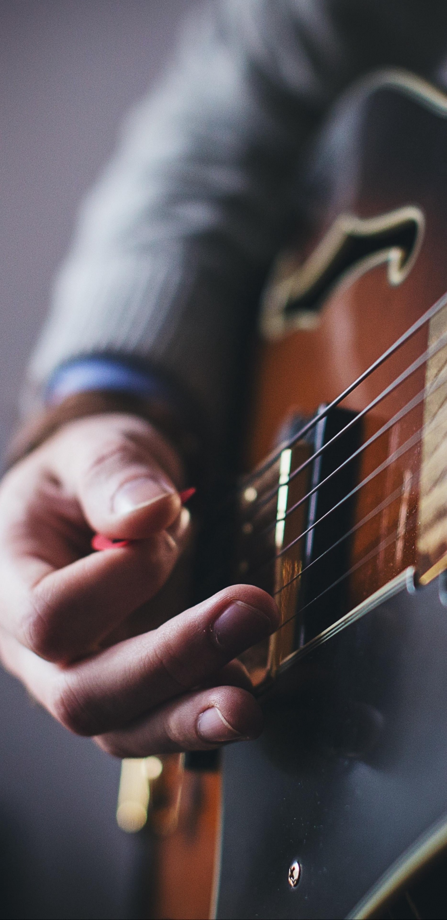 Guitar, Acoustic Guitar, Guitar Pick, Electric Guitar, Bass Guitar. Wallpaper in 1440x2960 Resolution