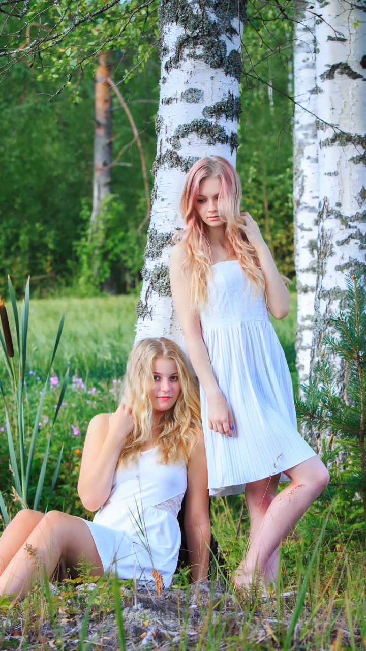 Baum, Wald, Fabrik, Finlandia, Finnland. Wallpaper in 720x1280 Resolution