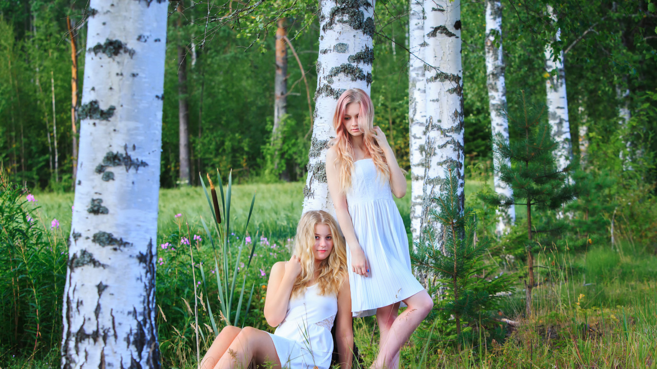 Forêt, Woodland, Usine, Finlandia, Finlande. Wallpaper in 1280x720 Resolution