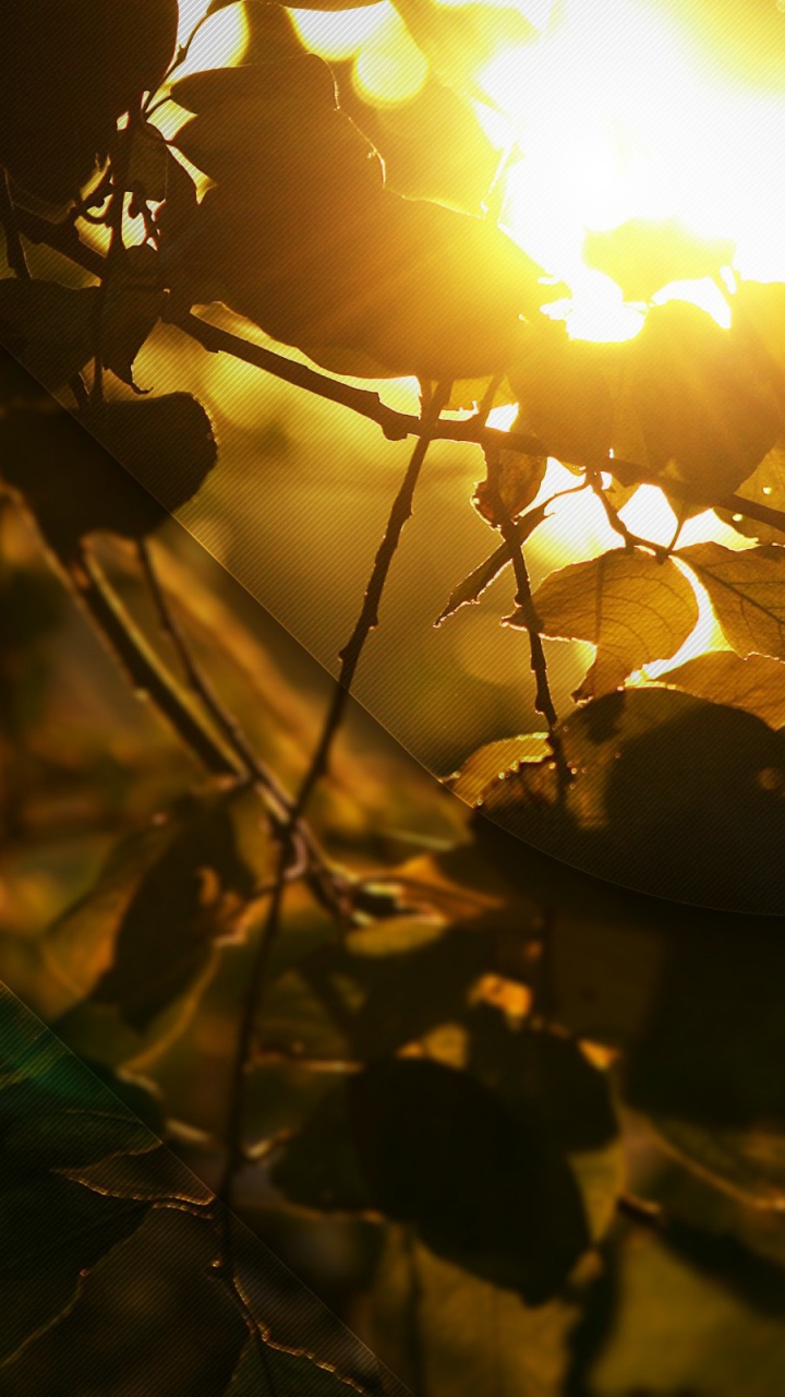 Yellow and Brown Light Bokeh. Wallpaper in 720x1280 Resolution