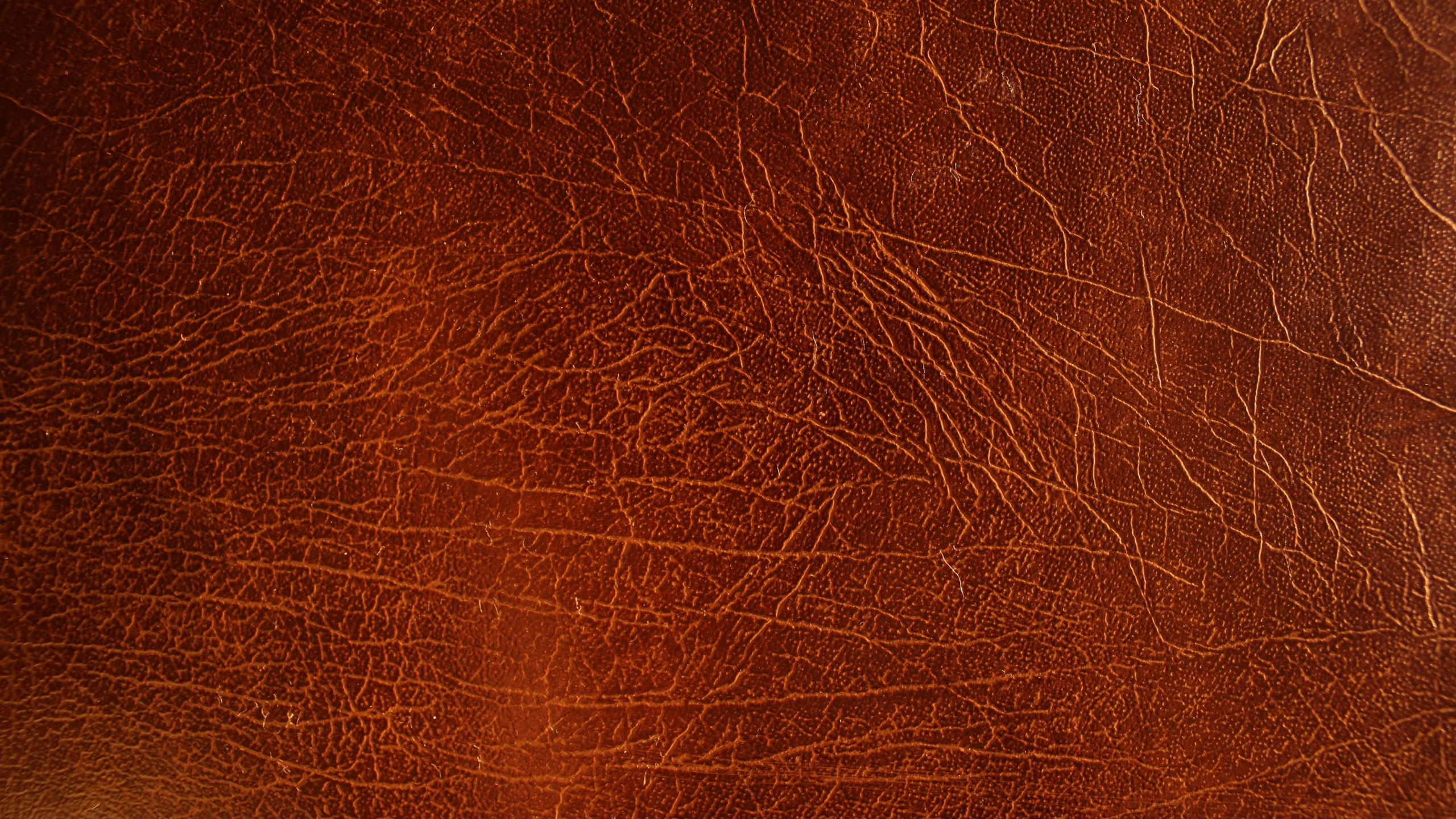 Textile en Cuir Marron en Photographie Rapprochée. Wallpaper in 2560x1440 Resolution