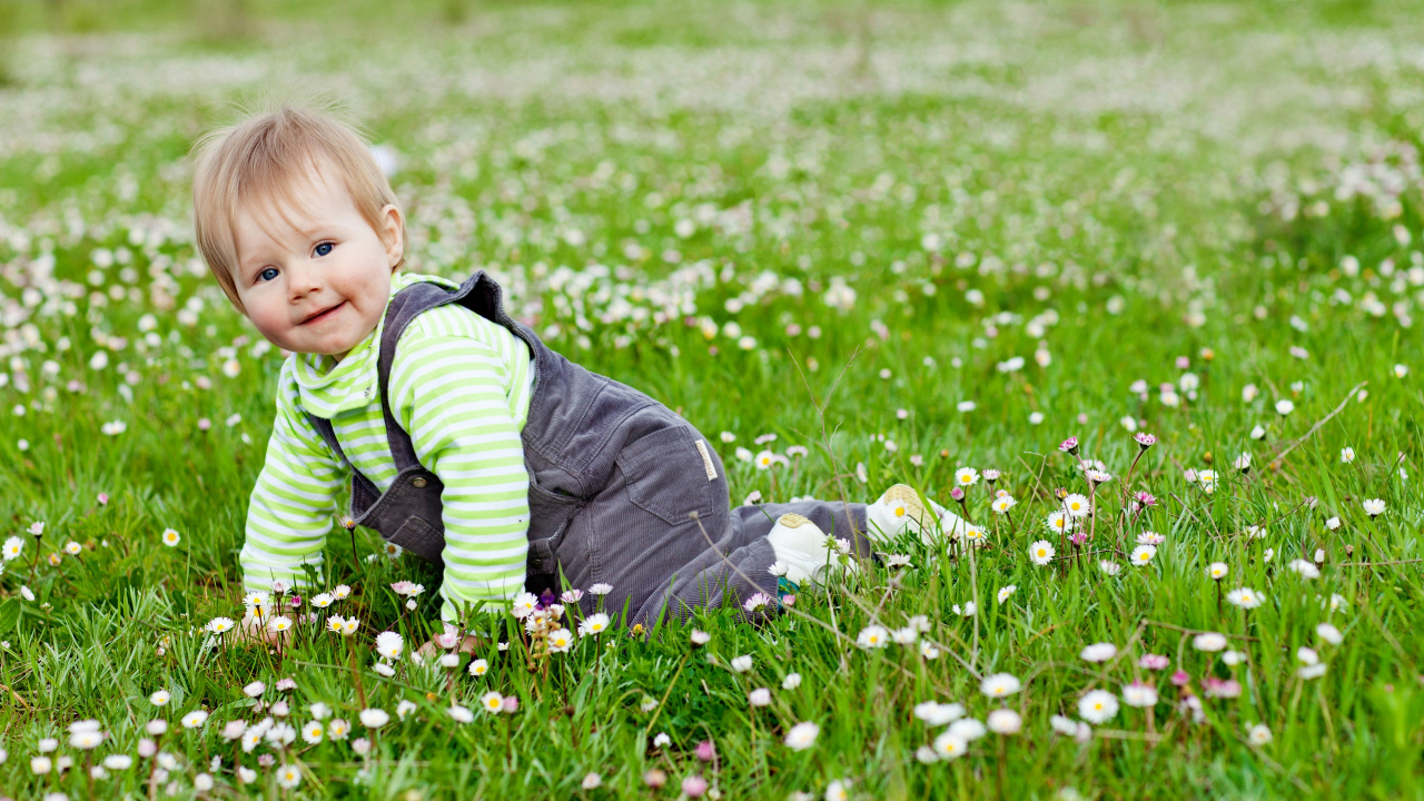 Infant, Meadow, Child, Spring, Nature. Wallpaper in 1280x720 Resolution