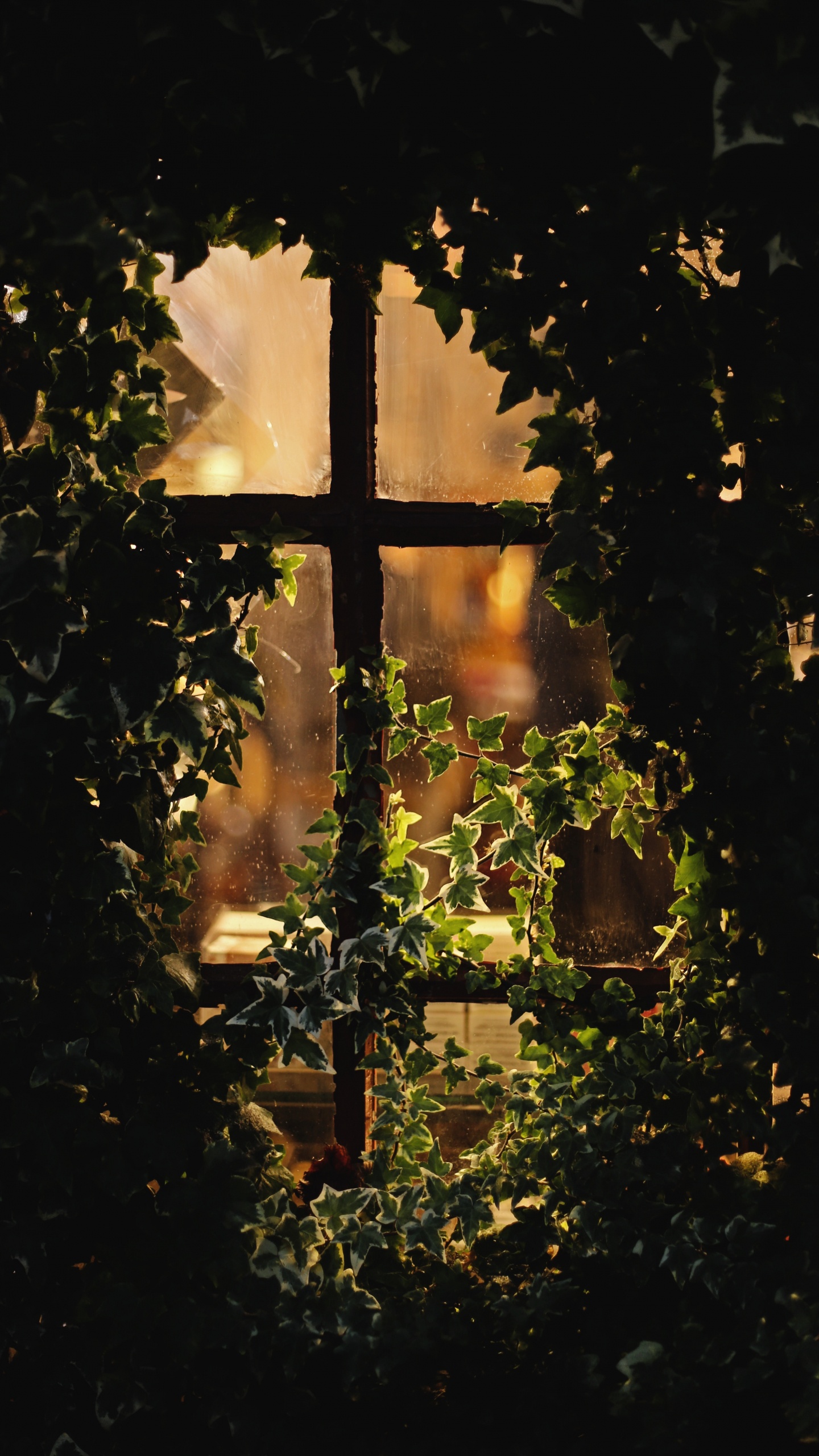 Green Plants With String Lights. Wallpaper in 1440x2560 Resolution